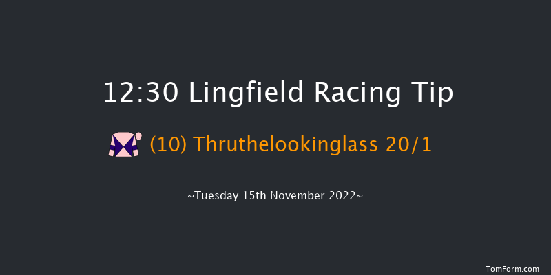 Lingfield 12:30  Maiden Hurdle (Class 4) 20f Sat 12th Nov 2022