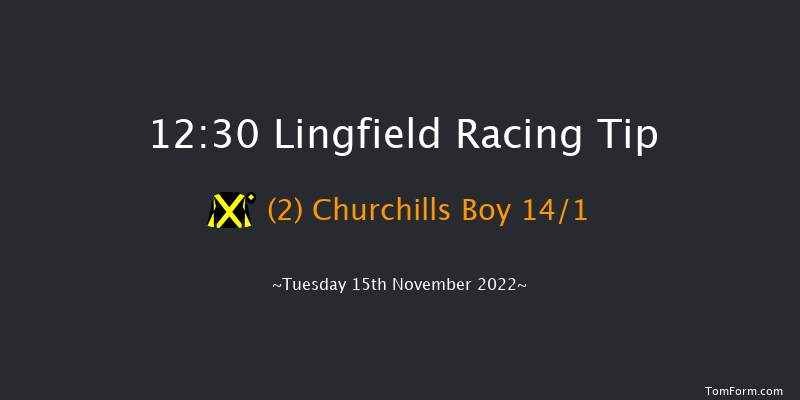 Lingfield 12:30  Maiden Hurdle (Class 4) 20f Sat 12th Nov 2022