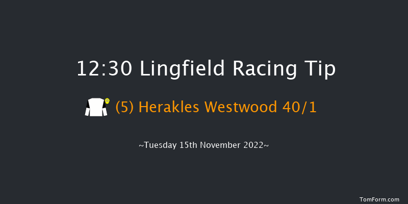 Lingfield 12:30  Maiden Hurdle (Class 4) 20f Sat 12th Nov 2022