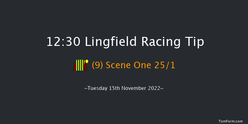 Lingfield 12:30  Maiden Hurdle (Class 4) 20f Sat 12th Nov 2022