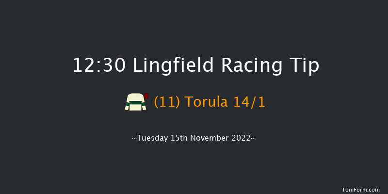 Lingfield 12:30  Maiden Hurdle (Class 4) 20f Sat 12th Nov 2022