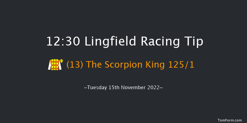 Lingfield 12:30  Maiden Hurdle (Class 4) 20f Sat 12th Nov 2022