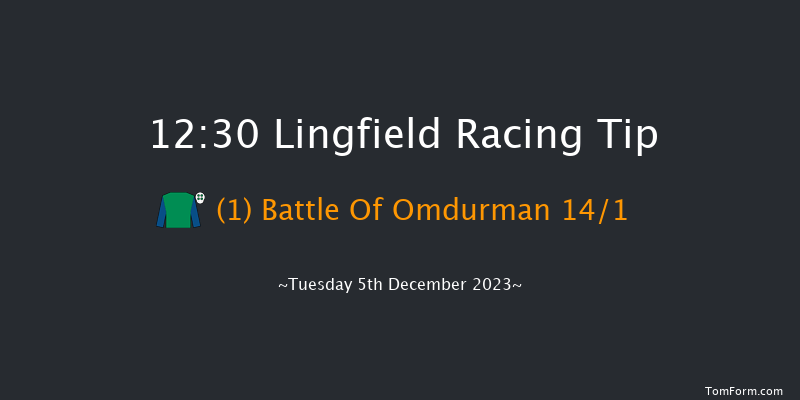 Lingfield 12:30 Maiden (Class 5) 8f Thu 30th Nov 2023