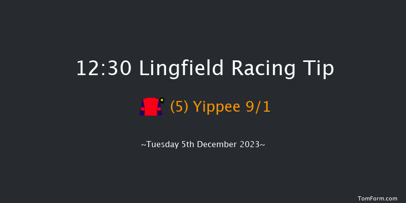 Lingfield 12:30 Maiden (Class 5) 8f Thu 30th Nov 2023