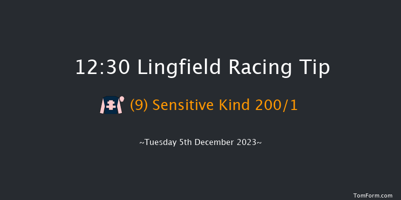 Lingfield 12:30 Maiden (Class 5) 8f Thu 30th Nov 2023