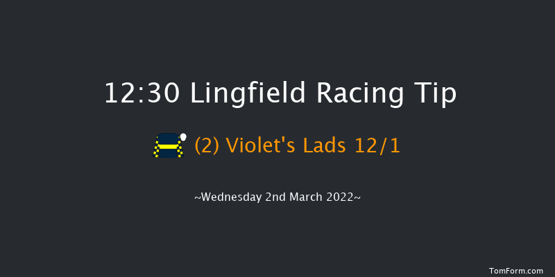 Lingfield 12:30 Handicap (Class 6) 10f Sat 26th Feb 2022