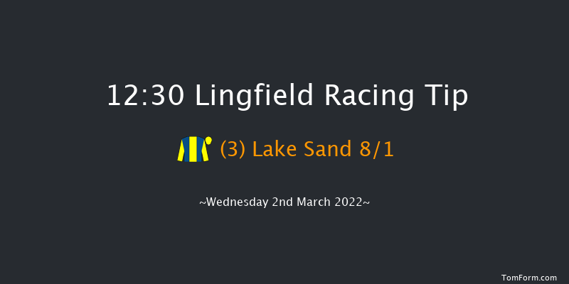 Lingfield 12:30 Handicap (Class 6) 10f Sat 26th Feb 2022