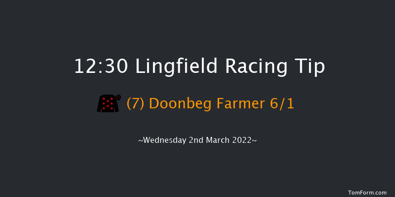 Lingfield 12:30 Handicap (Class 6) 10f Sat 26th Feb 2022