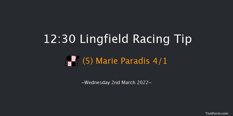 Lingfield 12:30 Handicap (Class 6) 10f Sat 26th Feb 2022