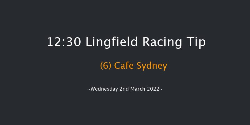 Lingfield 12:30 Handicap (Class 6) 10f Sat 26th Feb 2022