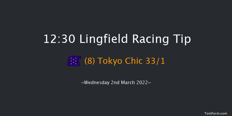 Lingfield 12:30 Handicap (Class 6) 10f Sat 26th Feb 2022