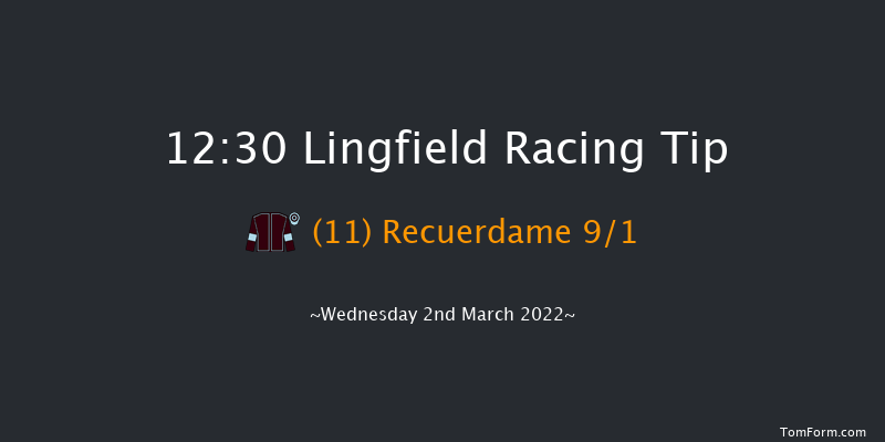 Lingfield 12:30 Handicap (Class 6) 10f Sat 26th Feb 2022