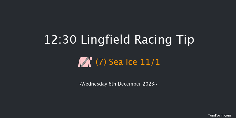 Lingfield 12:30 Stakes (Class 5) 8f Tue 5th Dec 2023