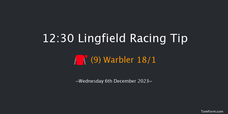 Lingfield 12:30 Stakes (Class 5) 8f Tue 5th Dec 2023