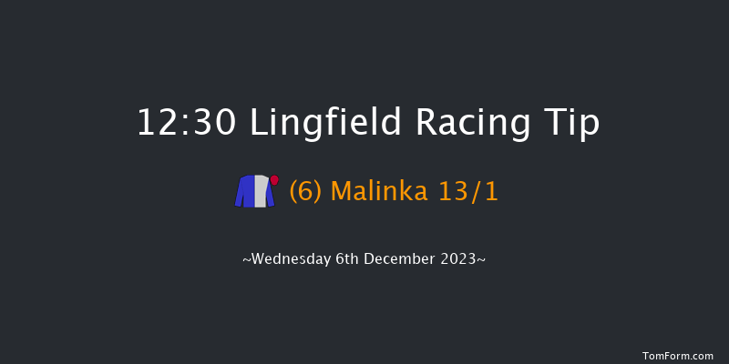 Lingfield 12:30 Stakes (Class 5) 8f Tue 5th Dec 2023