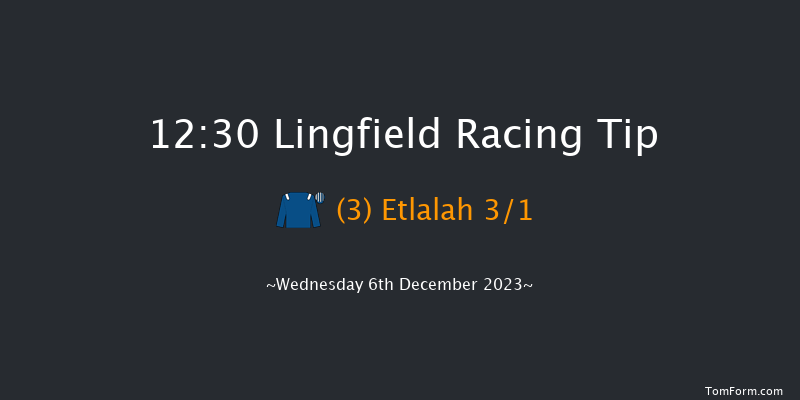 Lingfield 12:30 Stakes (Class 5) 8f Tue 5th Dec 2023