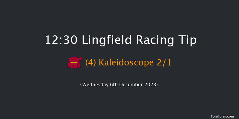 Lingfield 12:30 Stakes (Class 5) 8f Tue 5th Dec 2023