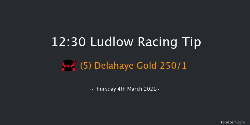 David Groom Sound Novices' Hurdle (GBB Race) Ludlow 12:30 Maiden Hurdle (Class 4) 16f Wed 24th Feb 2021