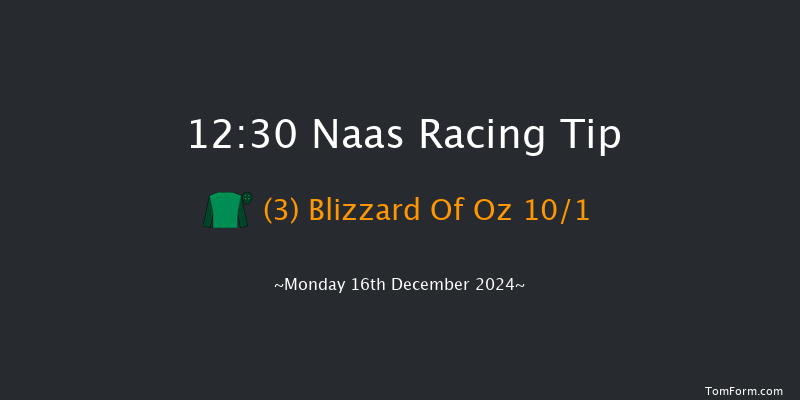 Naas  12:30 Maiden Chase 20f Sun 10th Nov 2024