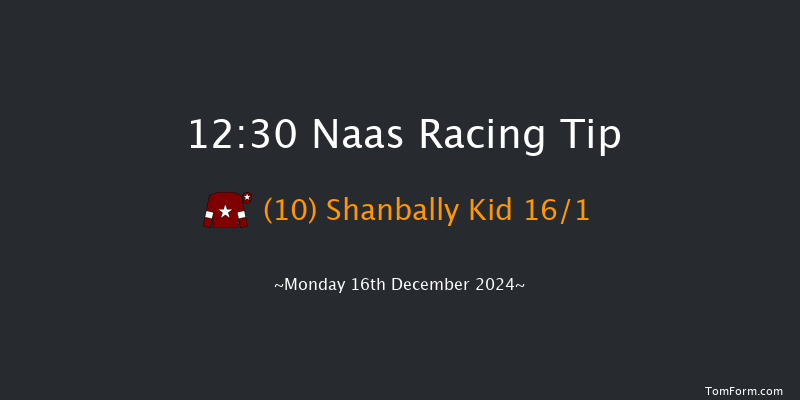 Naas  12:30 Maiden Chase 20f Sun 10th Nov 2024