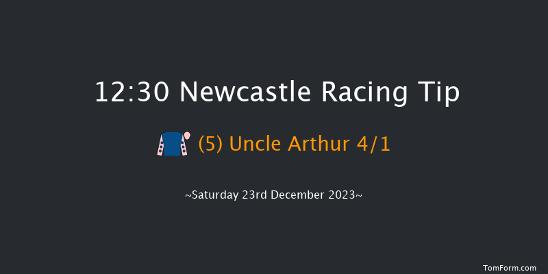 Newcastle 12:30 Handicap Hurdle (Class 5) 17f Sat 16th Dec 2023