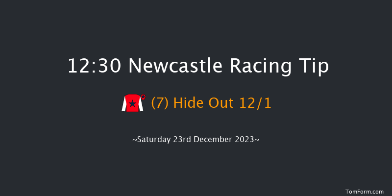 Newcastle 12:30 Handicap Hurdle (Class 5) 17f Sat 16th Dec 2023