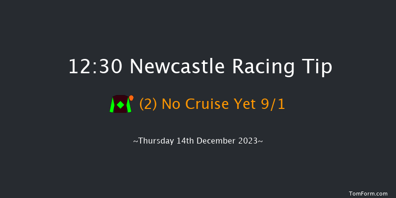 Newcastle 12:30 Handicap Chase (Class 4) 23f Sat 9th Dec 2023