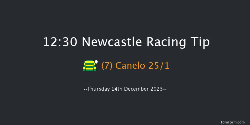 Newcastle 12:30 Handicap Chase (Class 4) 23f Sat 9th Dec 2023