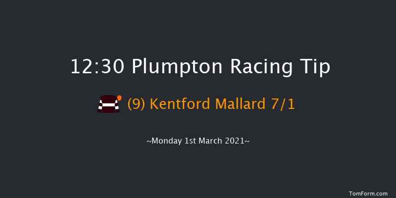 Irish Thoroughbred Marketing Mares' Handicap Hurdle Plumpton 12:30 Handicap Hurdle (Class 5) 20f Mon 25th Jan 2021