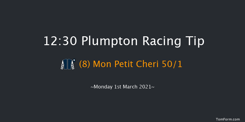 Irish Thoroughbred Marketing Mares' Handicap Hurdle Plumpton 12:30 Handicap Hurdle (Class 5) 20f Mon 25th Jan 2021