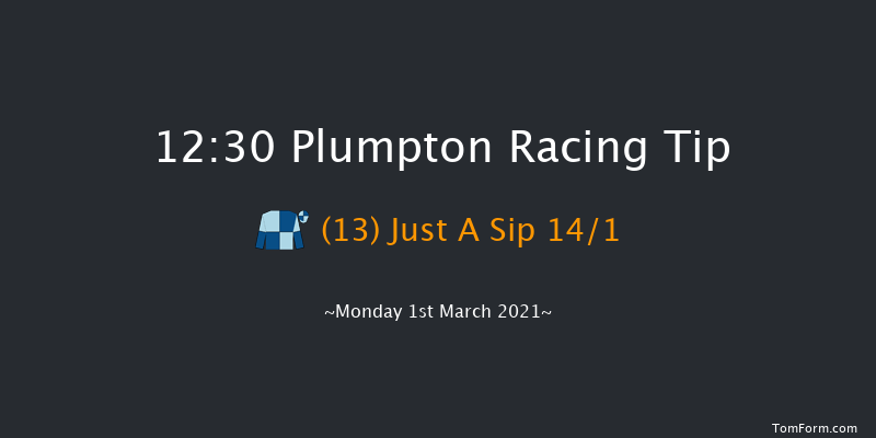 Irish Thoroughbred Marketing Mares' Handicap Hurdle Plumpton 12:30 Handicap Hurdle (Class 5) 20f Mon 25th Jan 2021