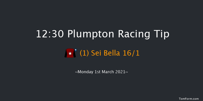 Irish Thoroughbred Marketing Mares' Handicap Hurdle Plumpton 12:30 Handicap Hurdle (Class 5) 20f Mon 25th Jan 2021