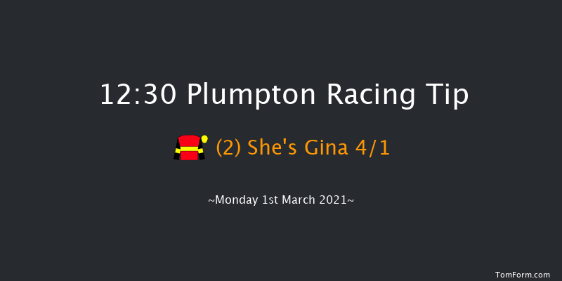 Irish Thoroughbred Marketing Mares' Handicap Hurdle Plumpton 12:30 Handicap Hurdle (Class 5) 20f Mon 25th Jan 2021