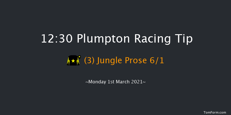 Irish Thoroughbred Marketing Mares' Handicap Hurdle Plumpton 12:30 Handicap Hurdle (Class 5) 20f Mon 25th Jan 2021