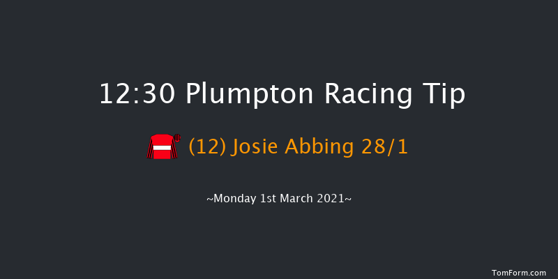 Irish Thoroughbred Marketing Mares' Handicap Hurdle Plumpton 12:30 Handicap Hurdle (Class 5) 20f Mon 25th Jan 2021