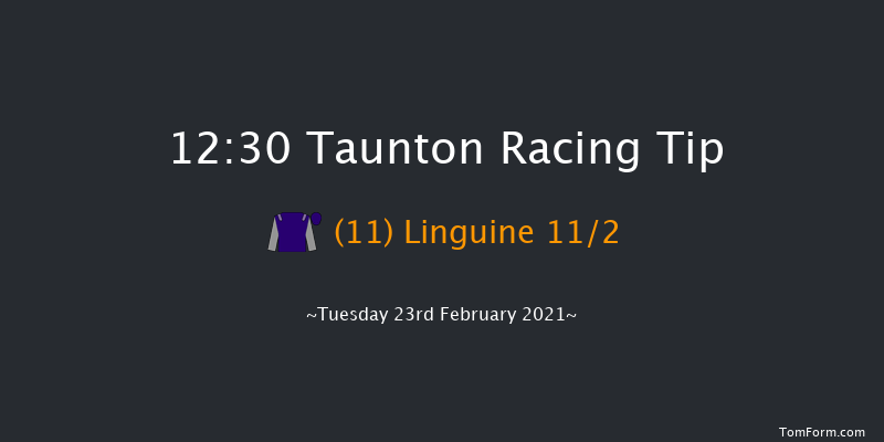 Taunton Round Table Selling Handicap Hurdle Taunton 12:30 Handicap Hurdle (Class 5) 19f Sat 23rd Jan 2021