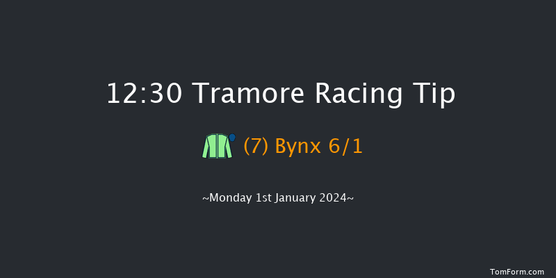 Tramore 12:30 Handicap Hurdle 17f Tue 28th Nov 2023