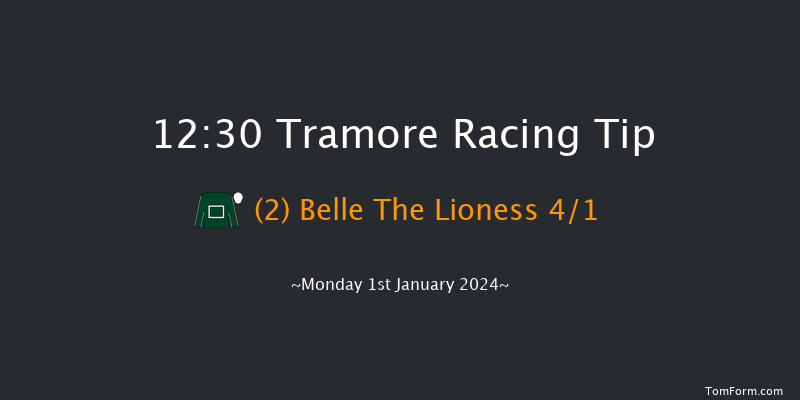 Tramore 12:30 Handicap Hurdle 17f Tue 28th Nov 2023