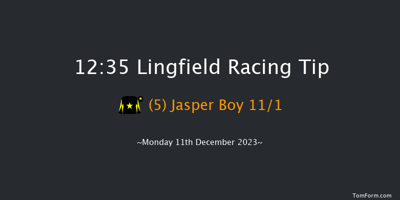 Lingfield 12:35 Stakes (Class 5) 16f Wed 6th Dec 2023