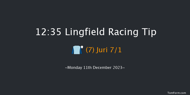 Lingfield 12:35 Stakes (Class 5) 16f Wed 6th Dec 2023