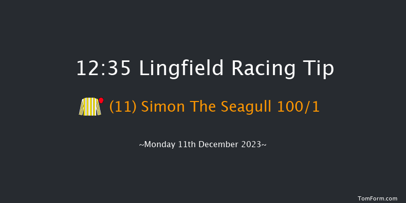 Lingfield 12:35 Stakes (Class 5) 16f Wed 6th Dec 2023