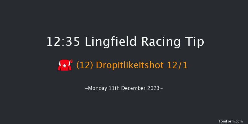 Lingfield 12:35 Stakes (Class 5) 16f Wed 6th Dec 2023