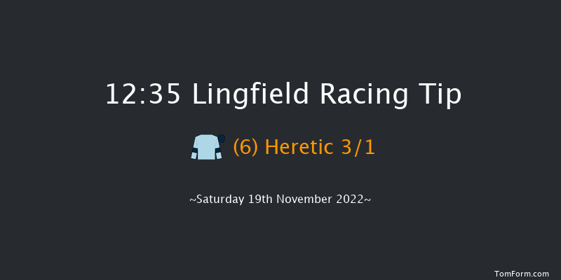 Lingfield 12:35 Stakes (Class 5) 8f Tue 15th Nov 2022