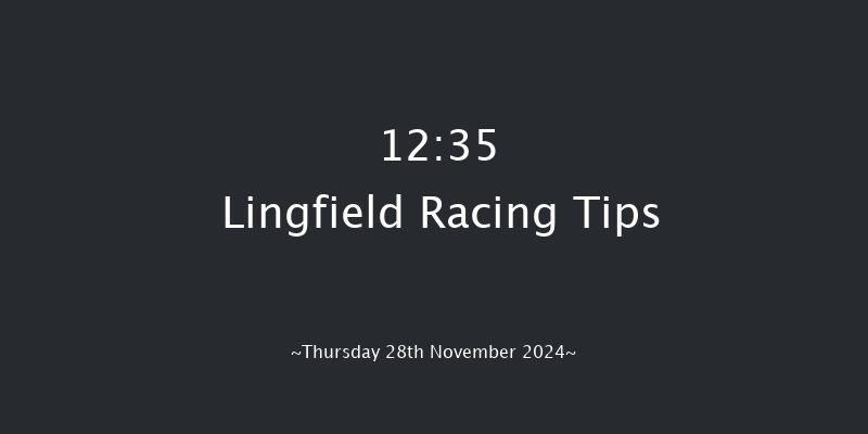 Lingfield  12:35 Handicap Hurdle (Class 5) 23f Thu 21st Nov 2024