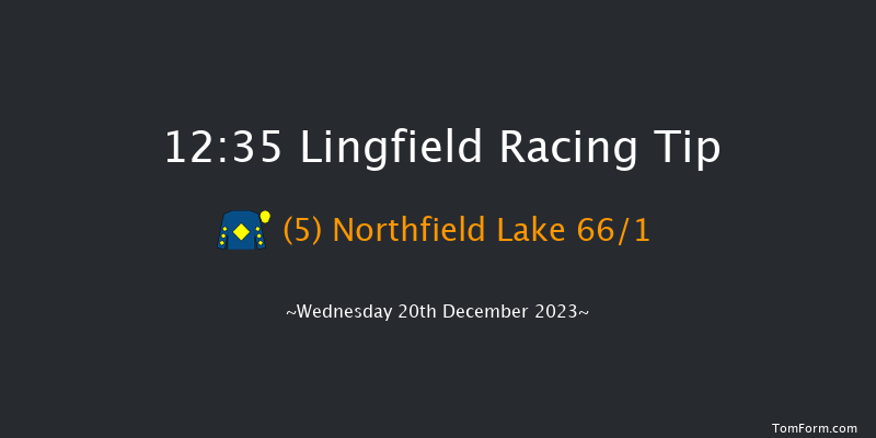 Lingfield 12:35 Stakes (Class 5) 8f Wed 13th Dec 2023