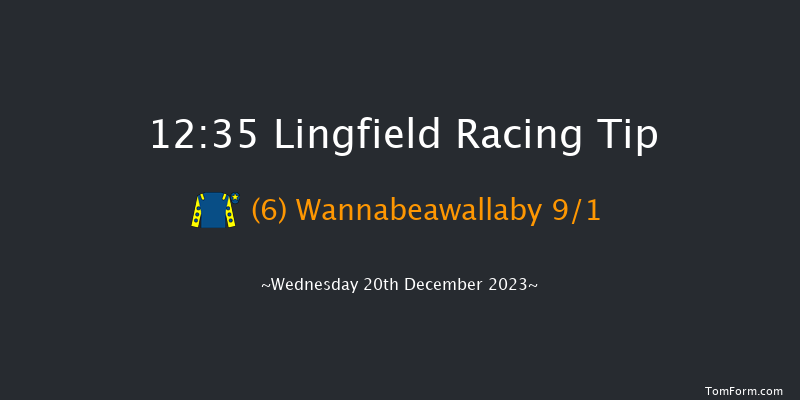 Lingfield 12:35 Stakes (Class 5) 8f Wed 13th Dec 2023