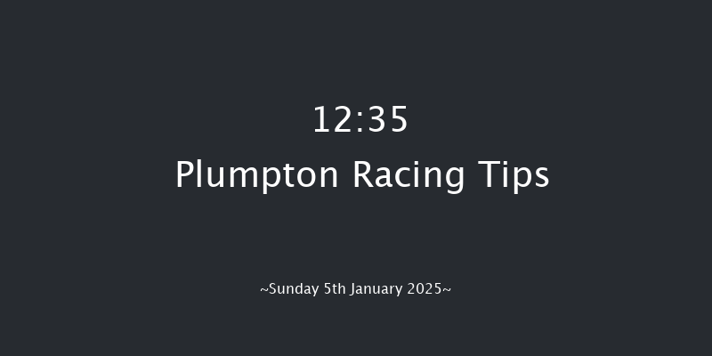 Plumpton  12:35 Handicap Chase (Class 3) 20f Mon 16th Dec 2024