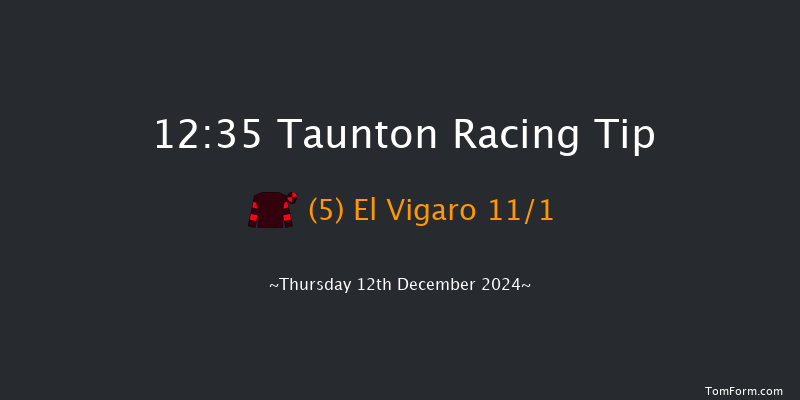 Taunton  12:35 Handicap Hurdle (Class 5) 16f Thu 28th Nov 2024