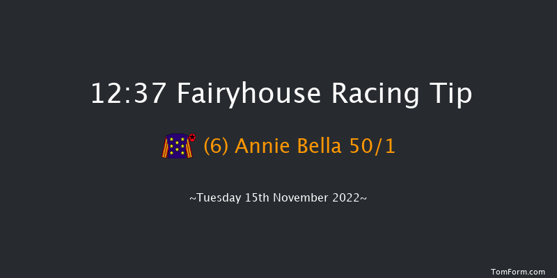 Fairyhouse 12:37 Maiden Hurdle 20f Tue 8th Nov 2022