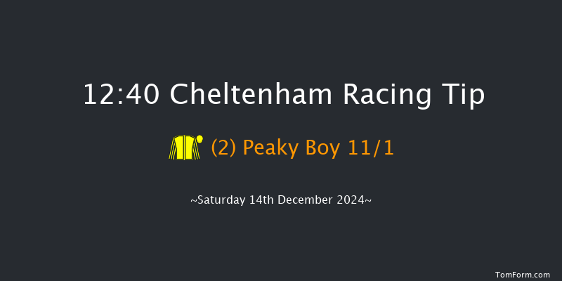 Cheltenham  12:40 Handicap Chase (Class 3) 25f Fri 13th Dec 2024